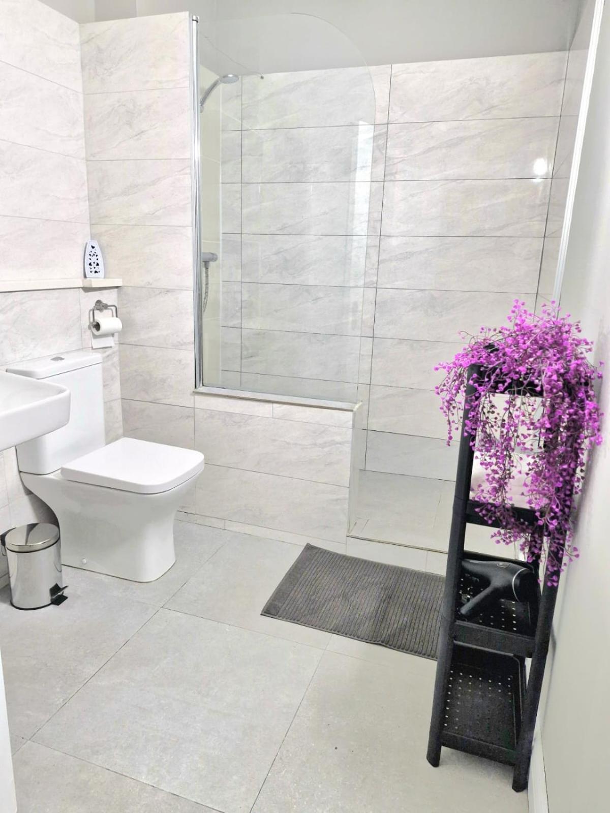 Apt Close To Temple Bar Apartment Dublin Ngoại thất bức ảnh