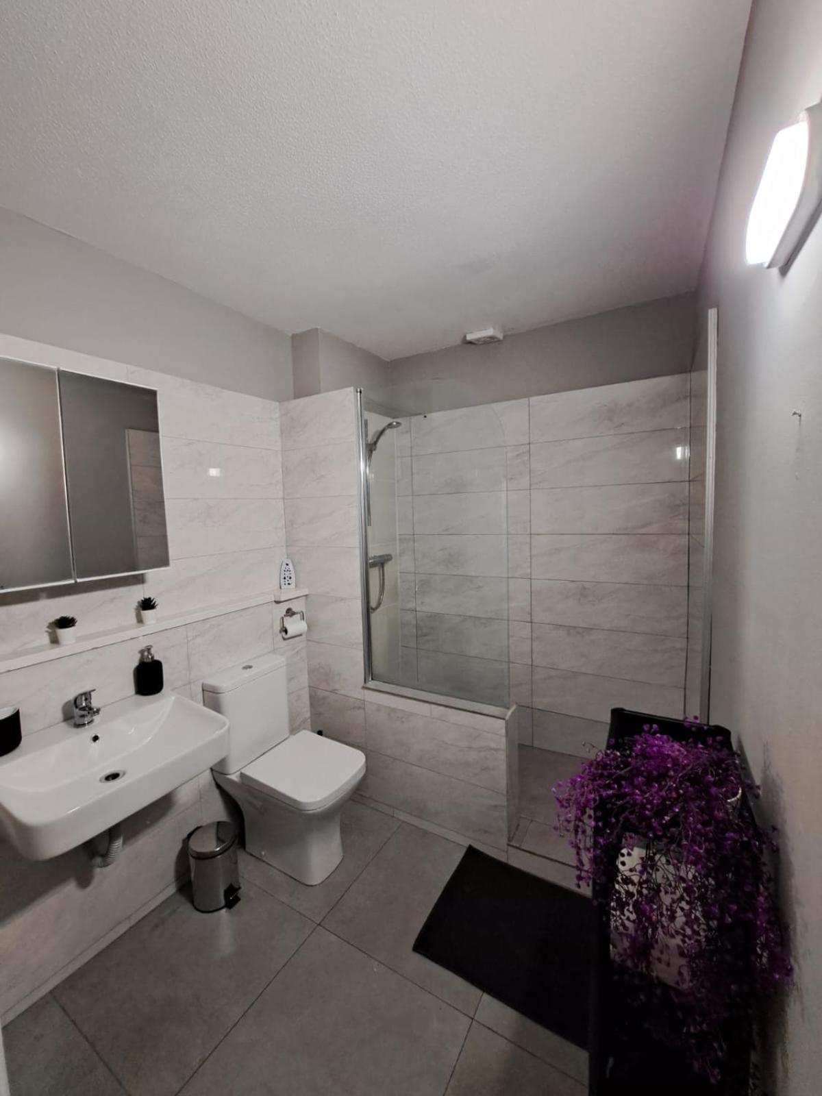 Apt Close To Temple Bar Apartment Dublin Ngoại thất bức ảnh